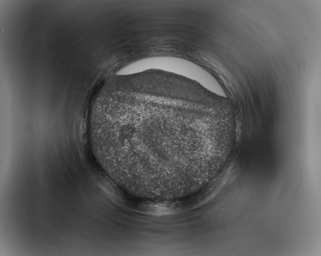 X0000086890365200705141627