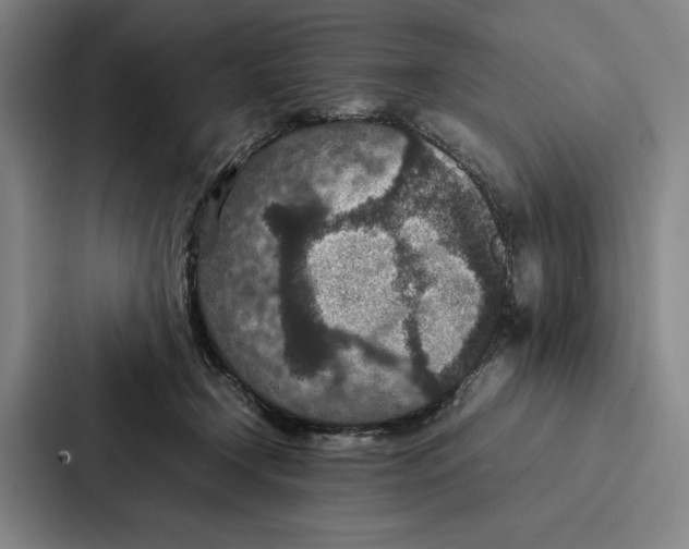 X0000086890366200705141627