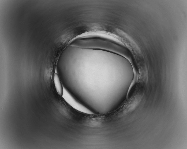 X0000086890368200705141627