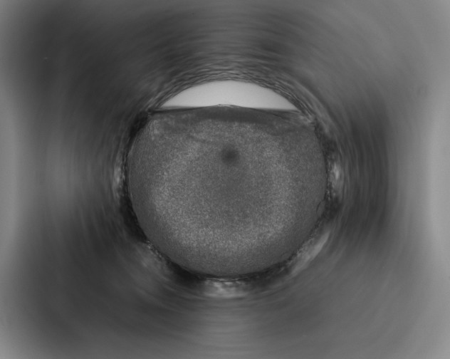 X0000086890372200705141627