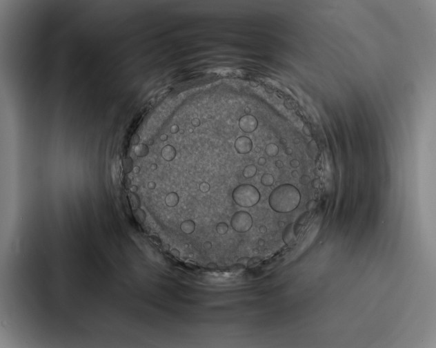 X0000086890375200705141627