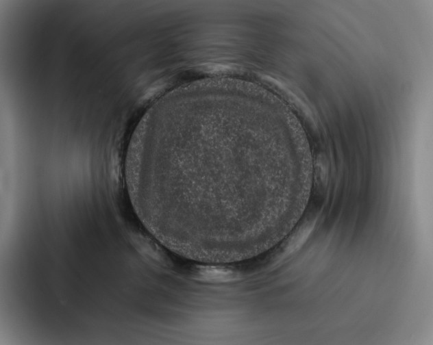 X0000086890380200705141627