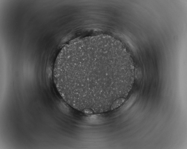 X0000086890382200705141627