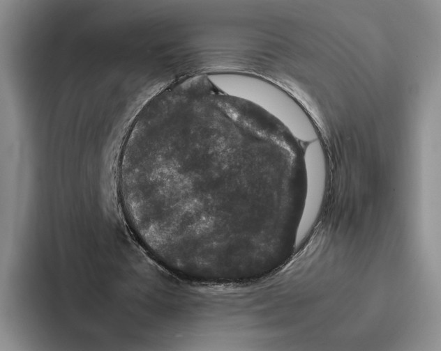 X0000086890385200705141627