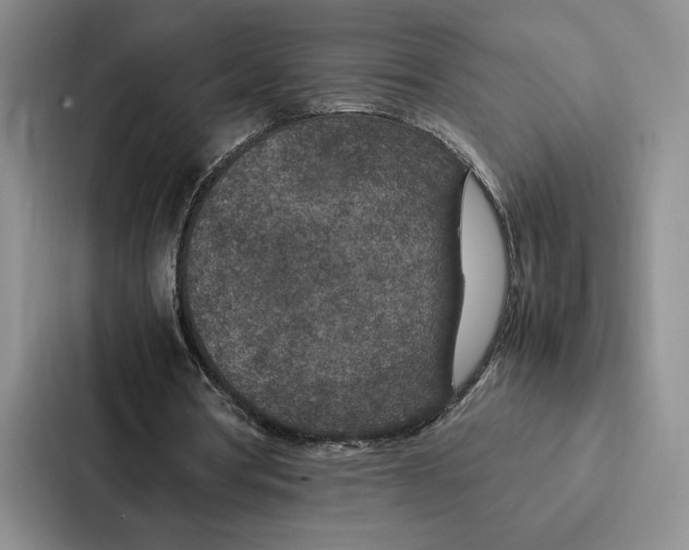 X0000086890386200705141627