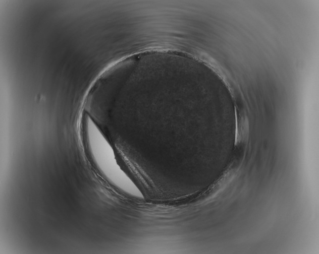 X0000086890387200705141627