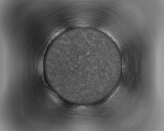 X0000086890390200705141627