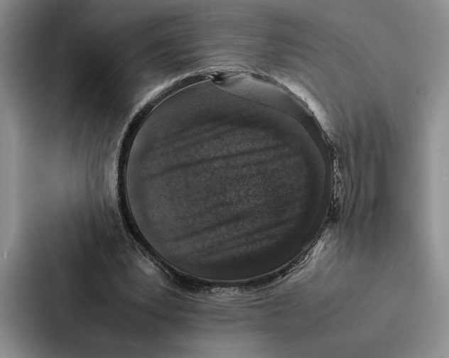 X0000086890391200705141627