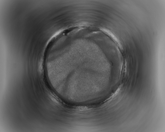 X0000086890392200705141627