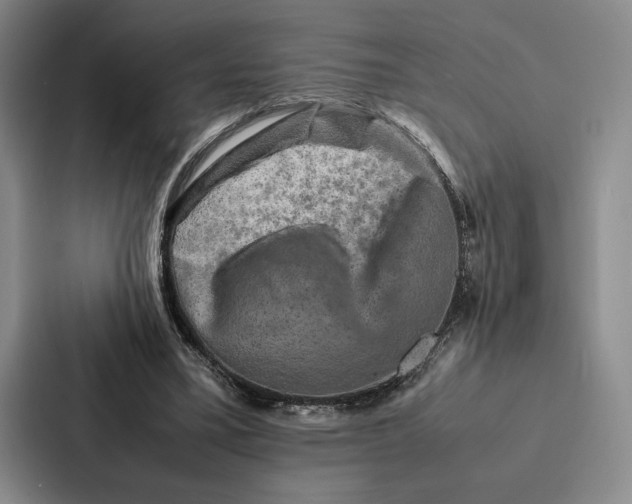 X0000086890395200705141627