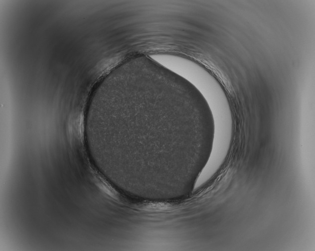 X0000086890397200705141627