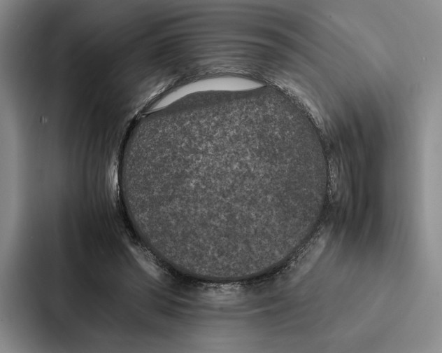 X0000086890398200705141627