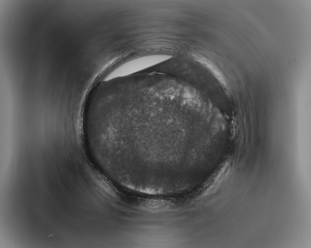 X0000086890399200705141627