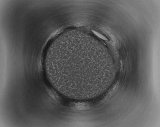 X0000086890400200705141627