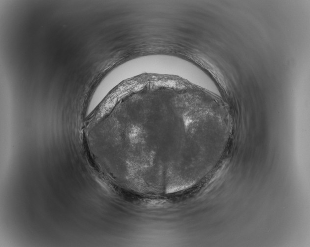 X0000086890401200705141627