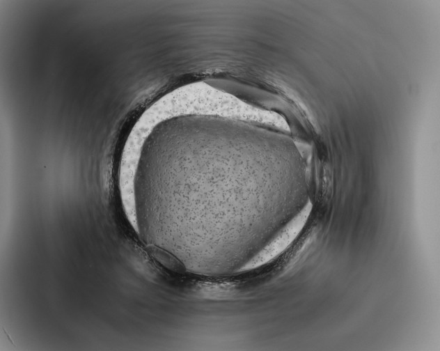 X0000086890403200705141627