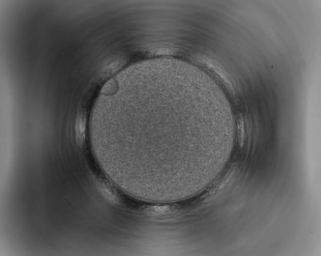 X0000086890406200705141626