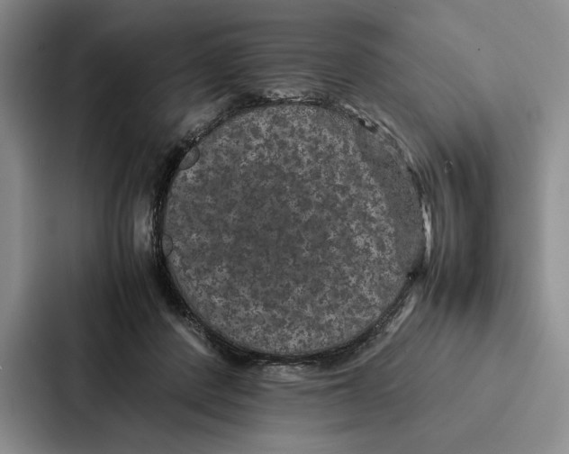 X0000086890408200705141626