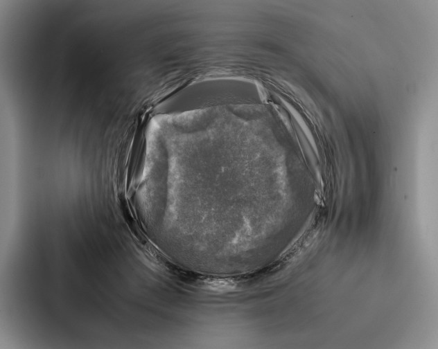 X0000086890409200705141626