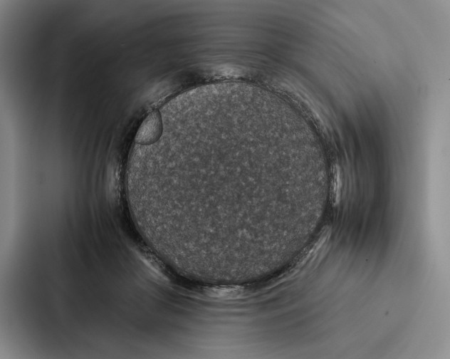 X0000086890410200705141626