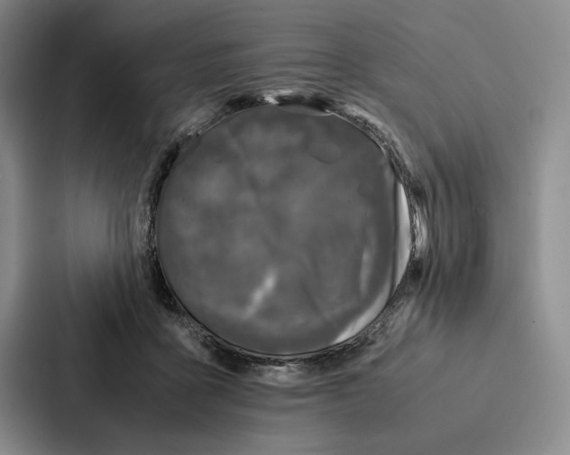 X0000086890411200705141626