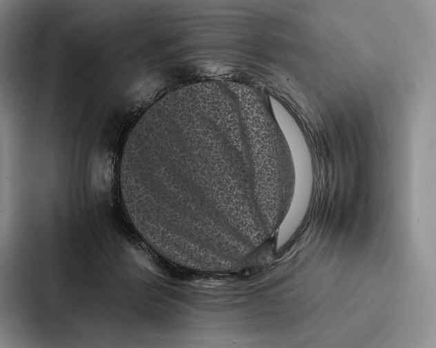 X0000086890412200705141626