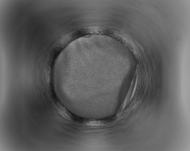 X0000086890413200705141626