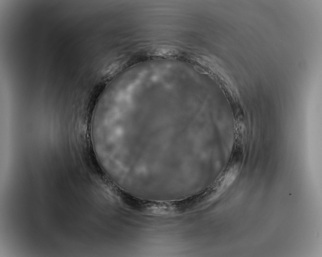 X0000086890415200705141626