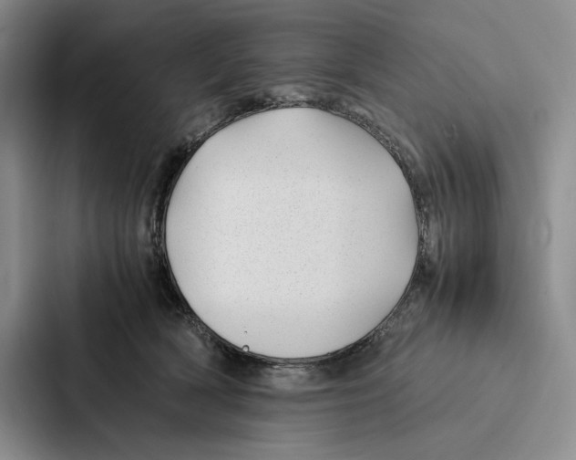 X0000086890418200705141626