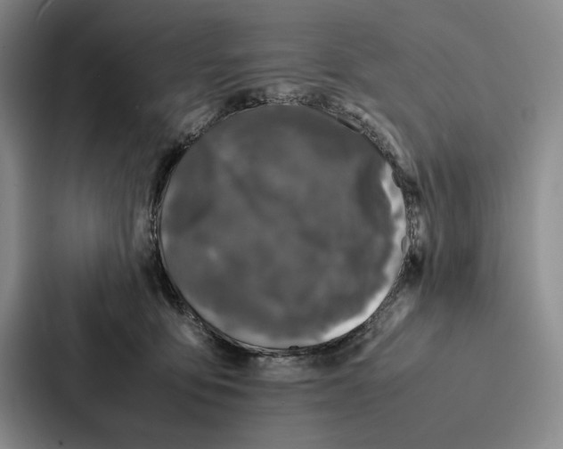 X0000086890419200705141626