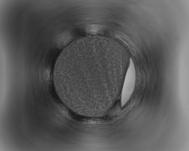 X0000086890420200705141626