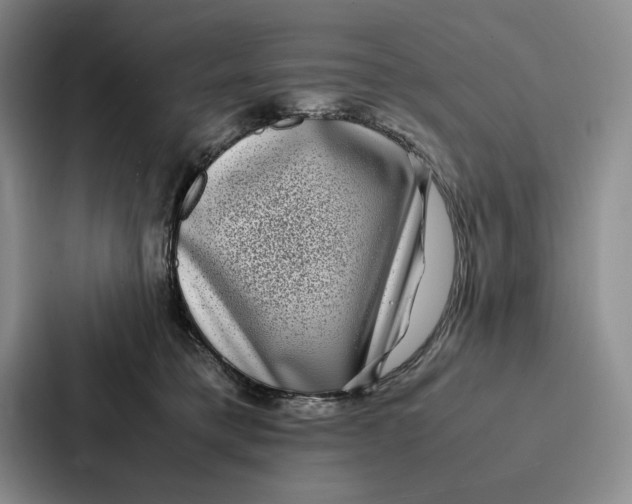 X0000086890421200705141626