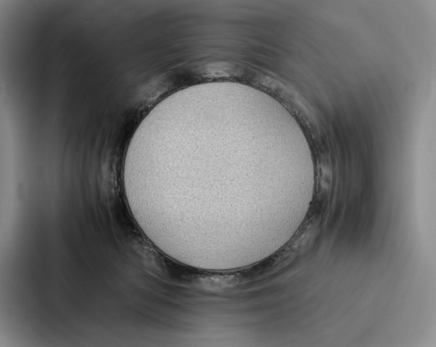 X0000086890422200705141626