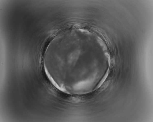 X0000086890423200705141626