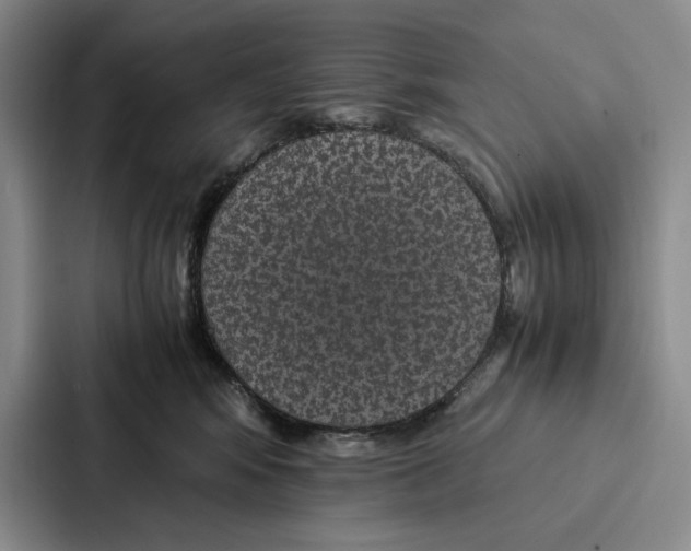 X0000086890424200705141626