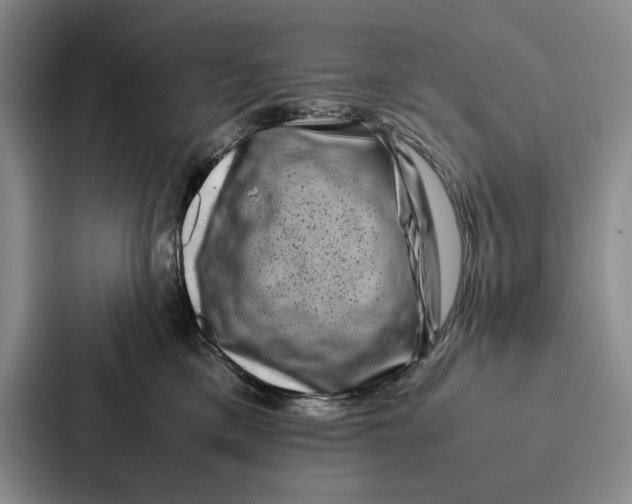 X0000086890425200705141626