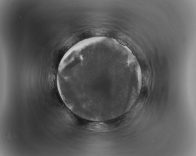 X0000086890427200705141626