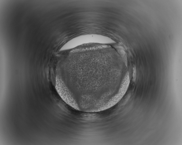 X0000086890428200705141626