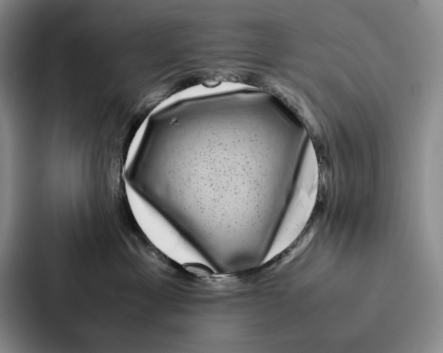 X0000086890429200705141626