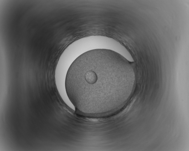 X0000086890432200705141626