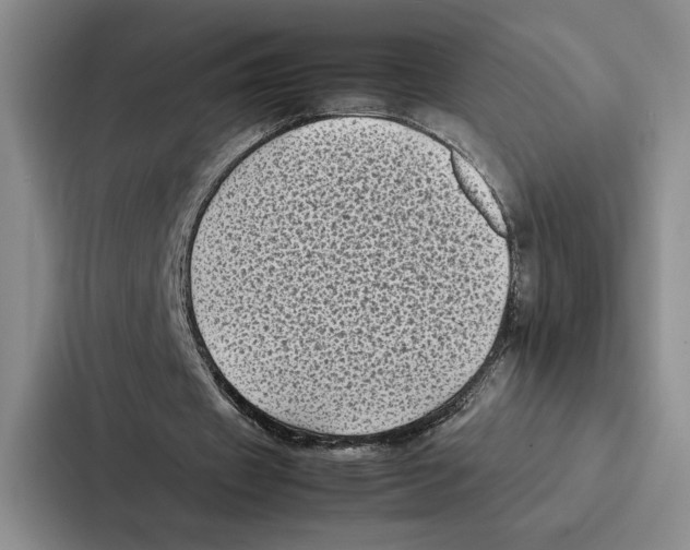 X0000086890433200705141626