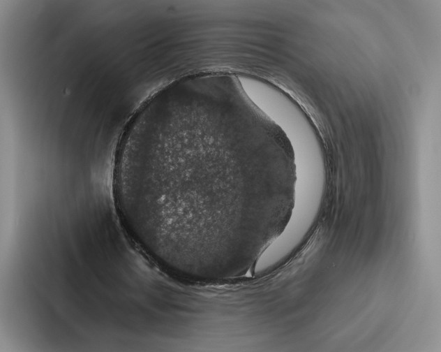 X0000086890434200705141626