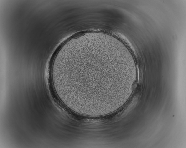 X0000086890435200705141626