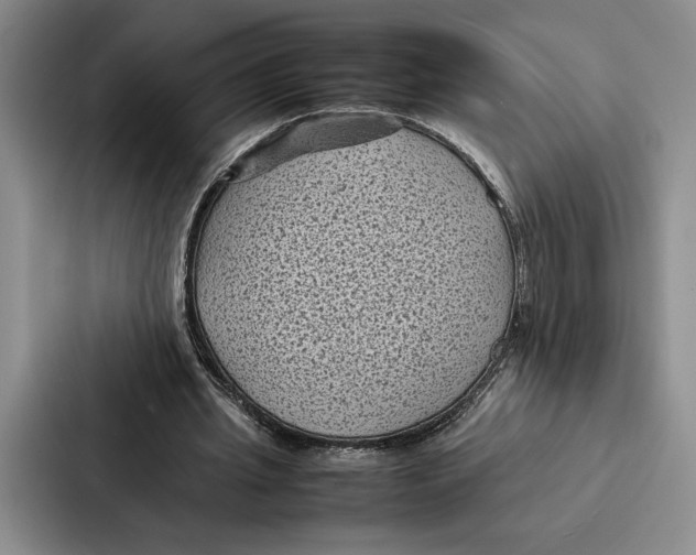 X0000086890437200705141626