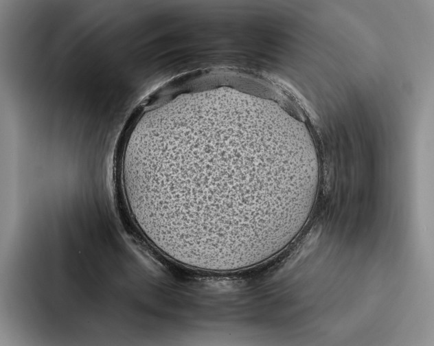 X0000086890439200705141626