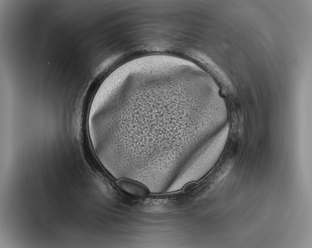 X0000086890440200705141626