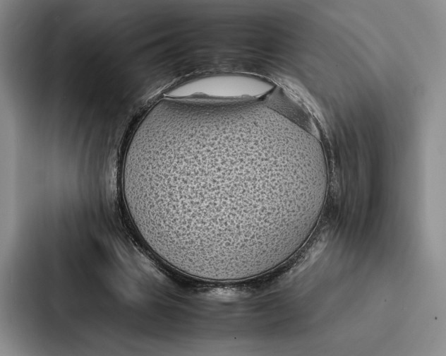 X0000086890441200705141626