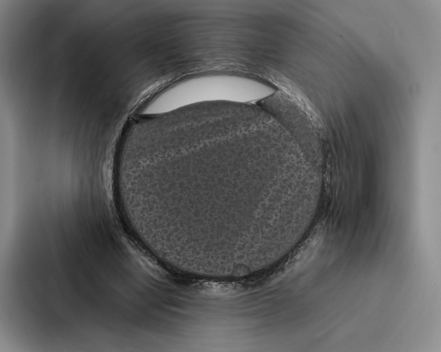 X0000086890442200705141626