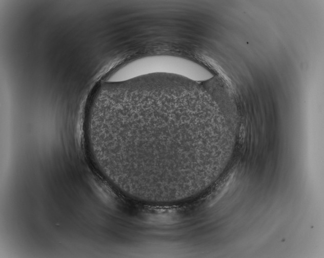 X0000086890443200705141626