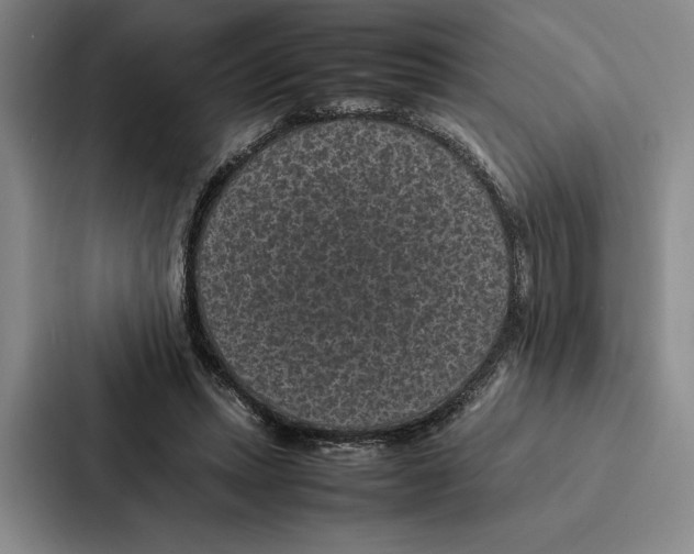 X0000086890447200705141626